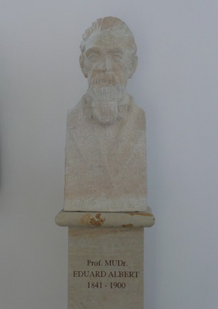 ALBERT Eduard Prof. MUDr. - Praha 2, Nové Město, U Nemocnice 499/2, areál Všeobecné nemocnice, pavilon chirurgie A8, na chodbě 2. patra